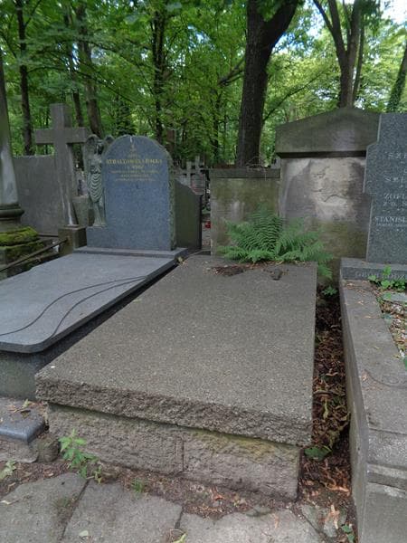 Zdjęcie grobu Romuald Dziewulski (1)
