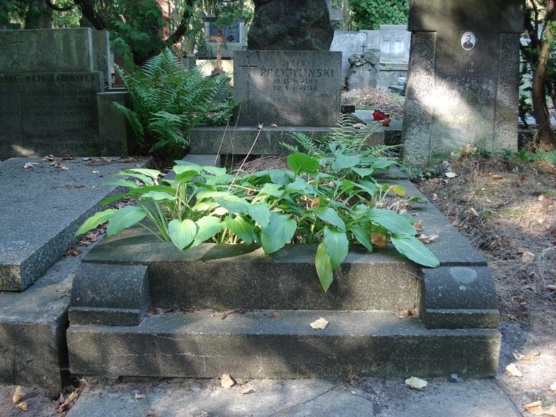 Zdjęcie grobu: Stefan Przybyliński