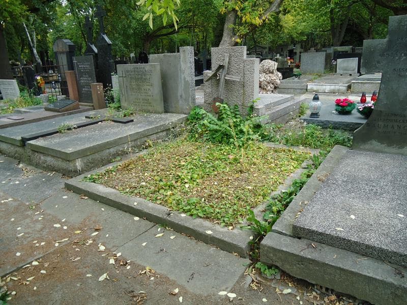 Zdjęcie grobu Józef ... (1)