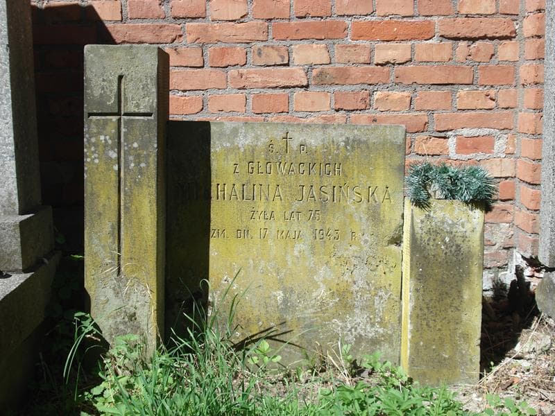 Zdjęcie grobu Michalina Jasińska (1)