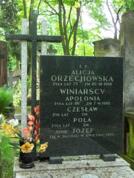 Zdjęcie grobu Alicja Orzechowska (2)