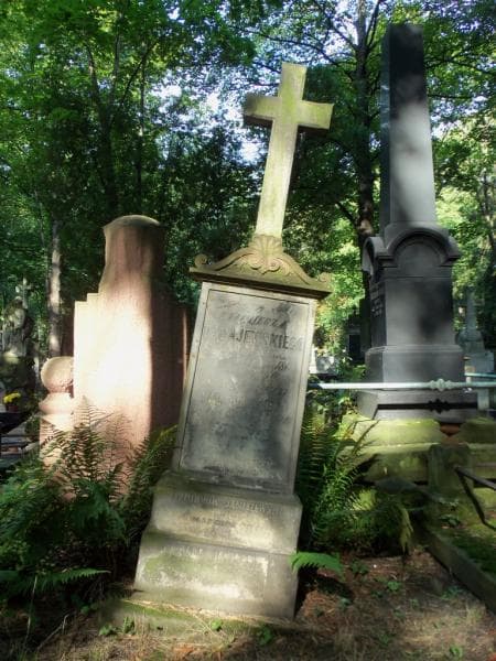 Zdjęcie grobu Karol Janiszewski (1)