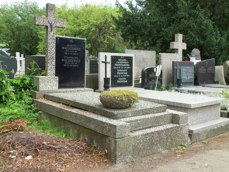 Zdjęcie grobu Henryk Walusiewicz (1)