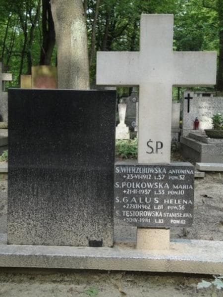 Zdjęcie grobu Stanisława Tęsiorowska (1)
