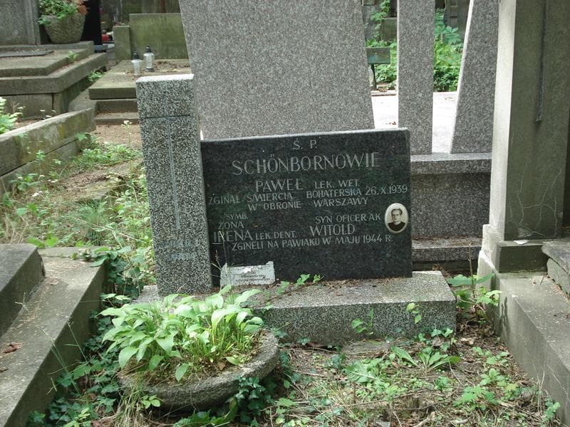 Zdjęcie grobu Paweł Schonborn (2)
