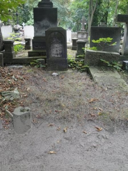 Zdjęcie grobu: Władysław Dąbrowski