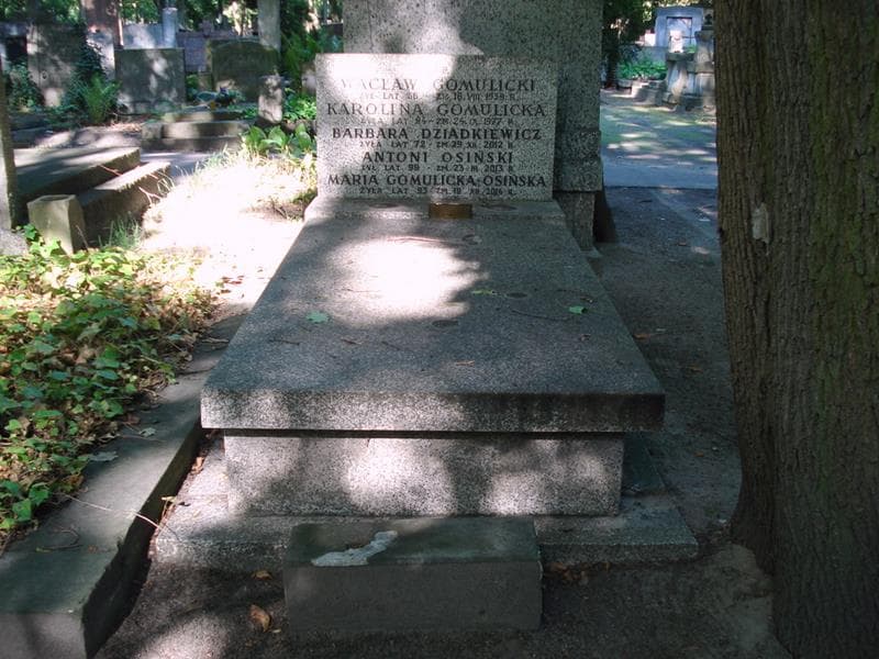 Zdjęcie grobu Wacław Gomulicki (1)
