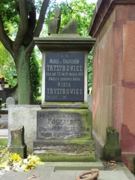 Zdjęcie grobu Michał Kwapich (2)