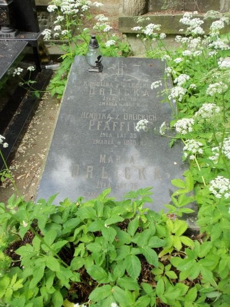 Zdjęcie grobu Henryka Pfaffius (2)