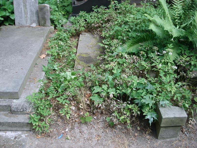 Zdjęcie grobu Władysław Pikulski (1)