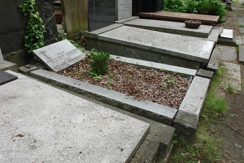 Zdjęcie grobu: Maria Straszewicz
