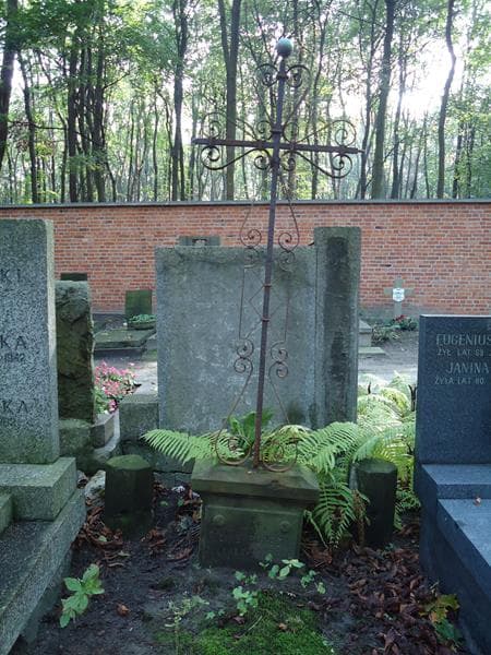 Zdjęcie grobu Feliks Borecki (2)