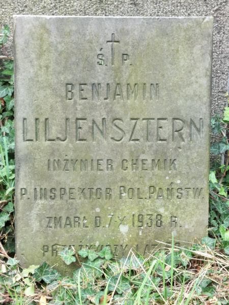 Zdjęcie grobu Benjamin Liljensztern (1)