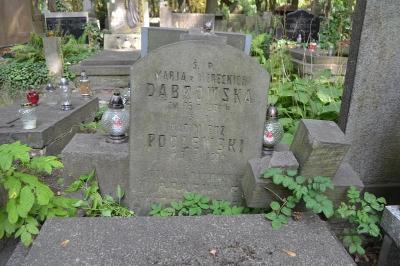 Zdjęcie grobu Marja Dąbrowska (2)