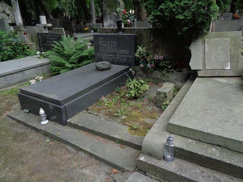 Zdjęcie grobu: Władysława Wasiutyńska