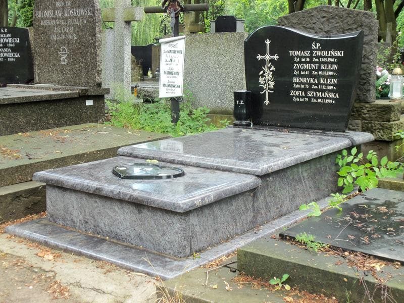 Zdjęcie grobu Henryka Klejn (1)
