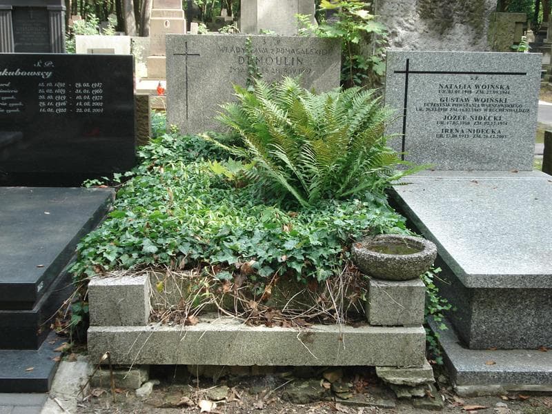 Zdjęcie grobu: Aleksander Demoulin