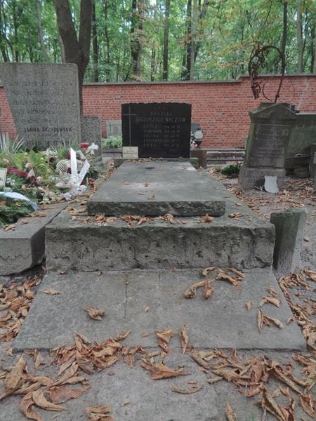 Zdjęcie grobu Zofia Antoszkiewicz (1)