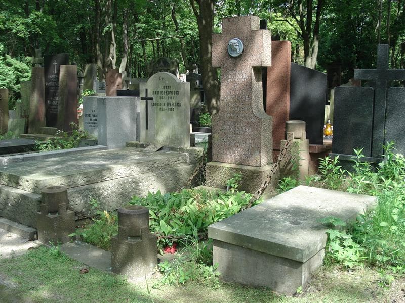 Zdjęcie grobu Anna Kobylińska (1)