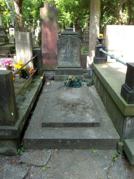 Zdjęcie grobu: Feliks Topolski