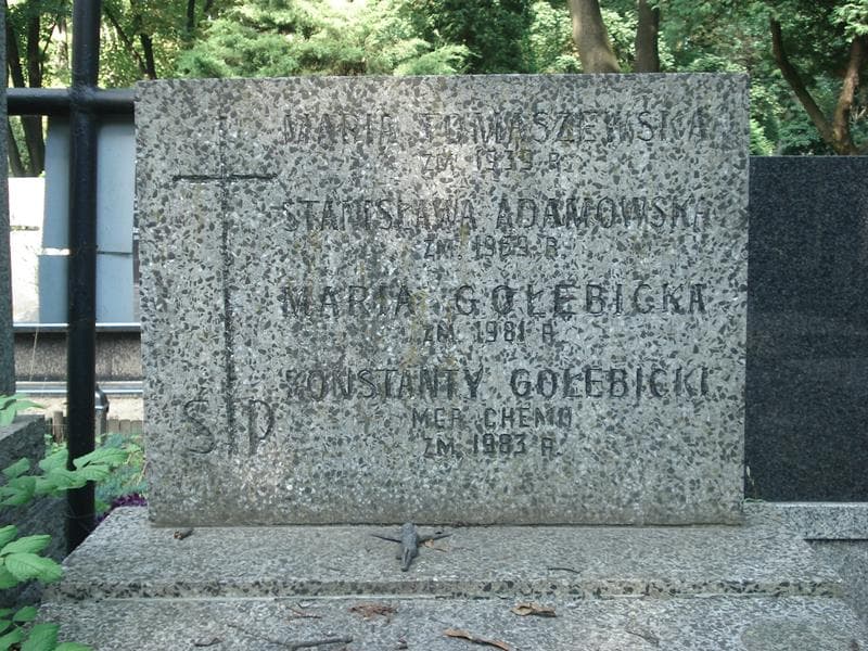 Zdjęcie grobu Stanisława Adamowska (1)