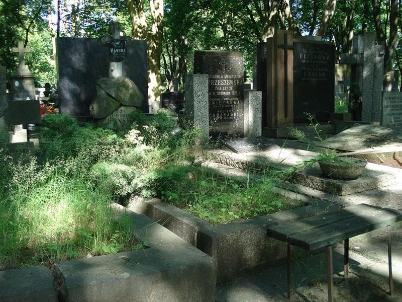 Zdjęcie grobu Marysieńka Hańska (1)