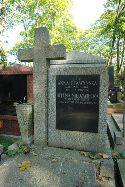 Zdjęcie grobu Anna Ptaszyńska (2)