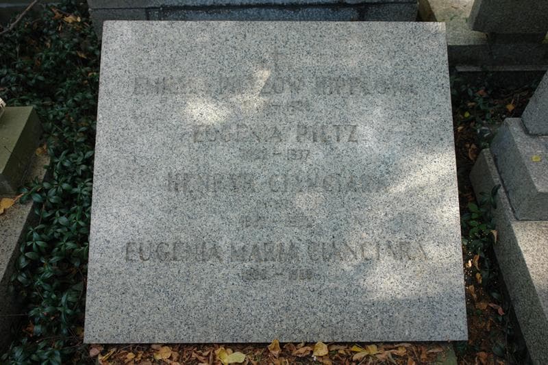 Zdjęcie grobu Henryk Cianciara (2)