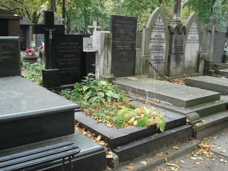 Zdjęcie grobu: Edward Stanisław Tomaszewski