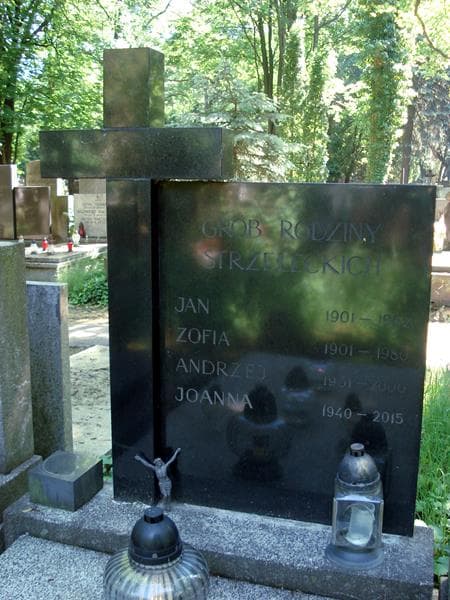 Zdjęcie grobu Jan Strzelecki (1)