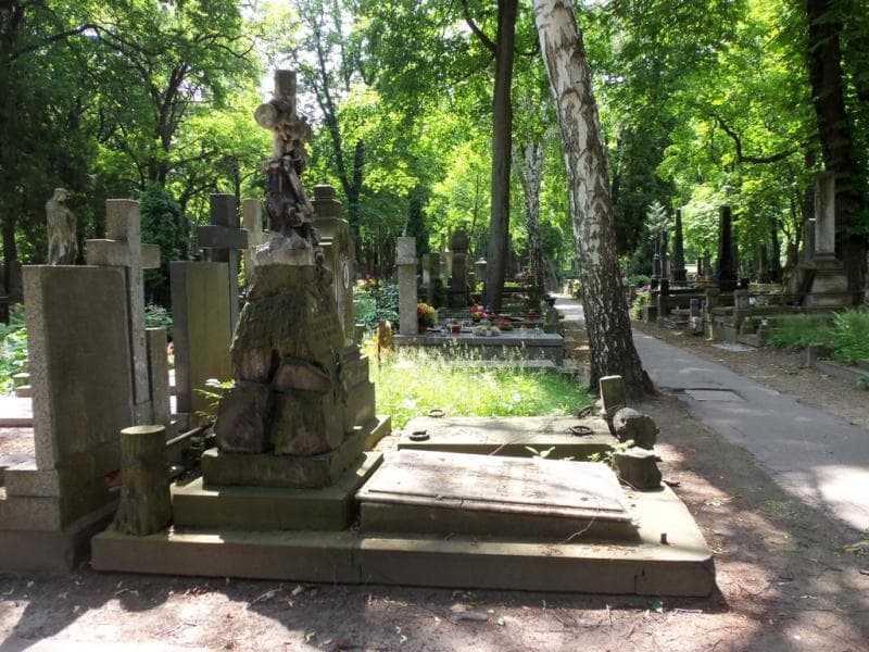 Zdjęcie grobu Michalina Dyaszewska (1)