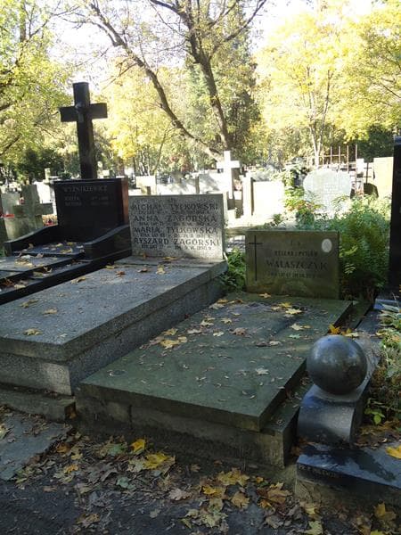 Zdjęcie grobu Helena Walaszczyk (1)