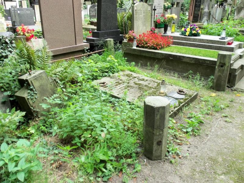 Zdjęcie grobu Aniela Dąbrowska (1)
