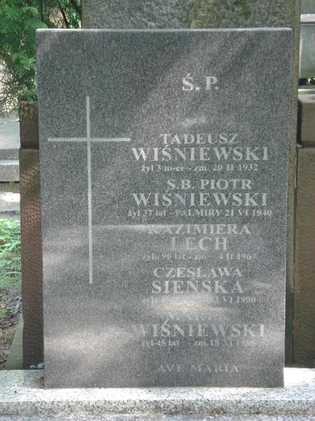 Zdjęcie grobu Kazimiera Lech (2)