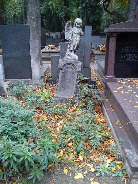 Zdjęcie grobu Henryk Bulewski (1)