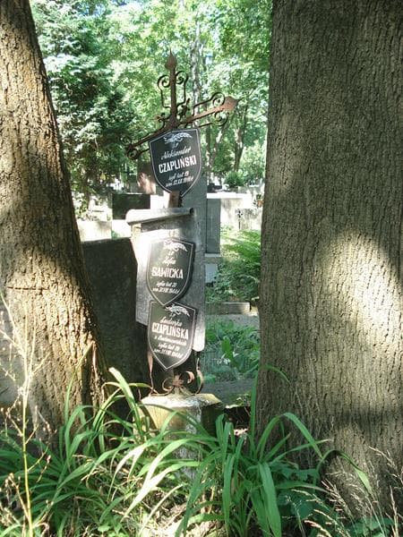 Zdjęcie grobu Aleksander Czapliński (1)