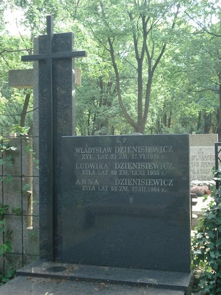 Zdjęcie grobu Ludwika Dzienisiewicz (1)
