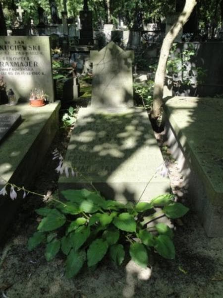 Zdjęcie grobu: Feliks Gołoński