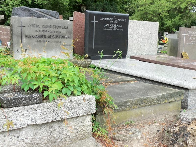 Zdjęcie grobu Aleksander Augustowski (1)