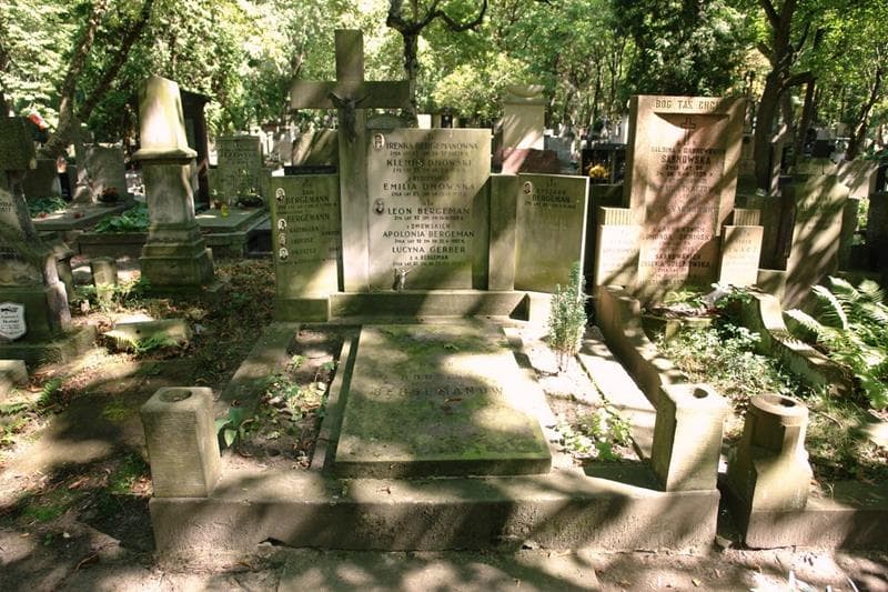 Zdjęcie grobu Klemens Dmowski (1)
