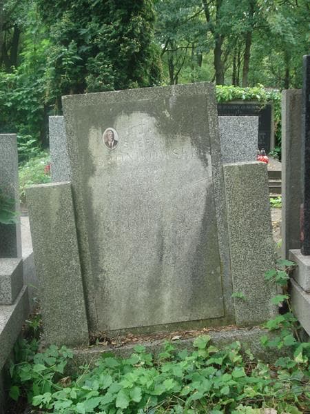 Zdjęcie grobu Stefan Bronikowski (2)