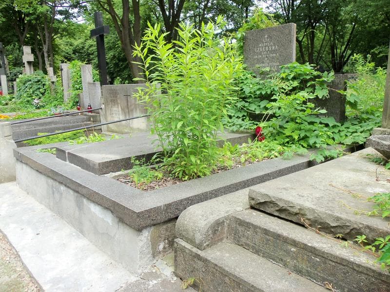 Zdjęcie grobu Juliusz Walewski (1)