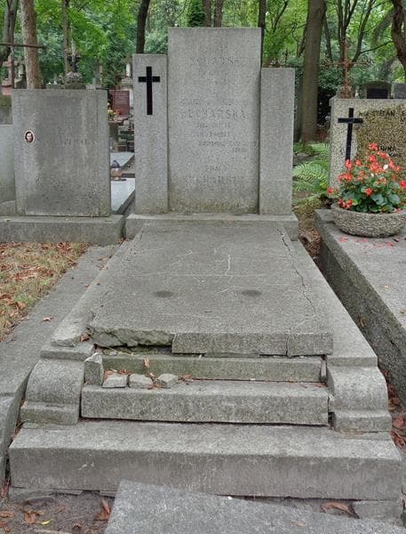 Zdjęcie grobu Agnieszka Kucharska (1)