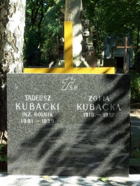 Zdjęcie grobu Zofia Kubacka (2)