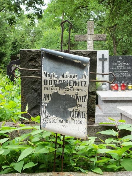 Zdjęcie grobu Anna Dobosiewicz (2)