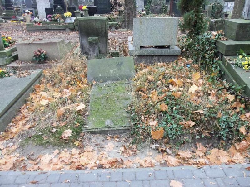 Zdjęcie grobu: Regina Dworakowska