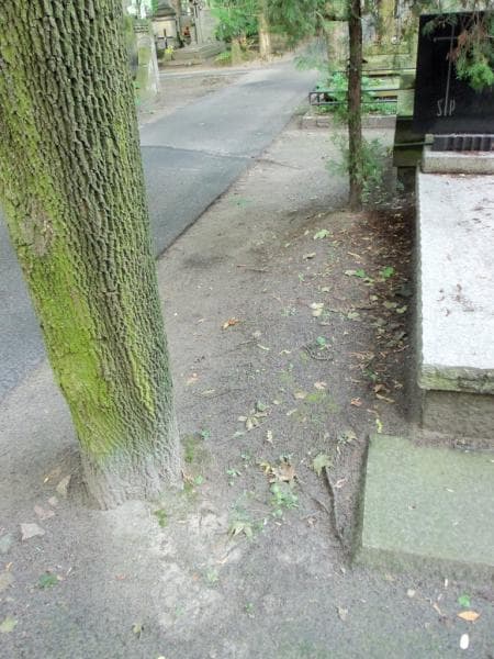 Zdjęcie grobu: Pole Grobowe
