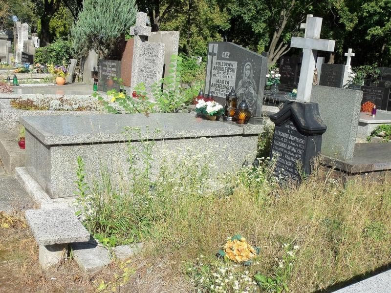 Zdjęcie grobu Eleonora Angielewska (2)