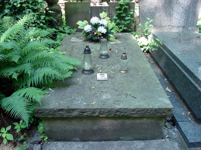 Zdjęcie grobu: Wincenty Draczyński