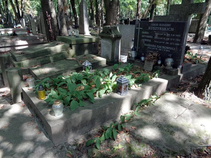 Zdjęcie grobu: Antonina Kuszyńska